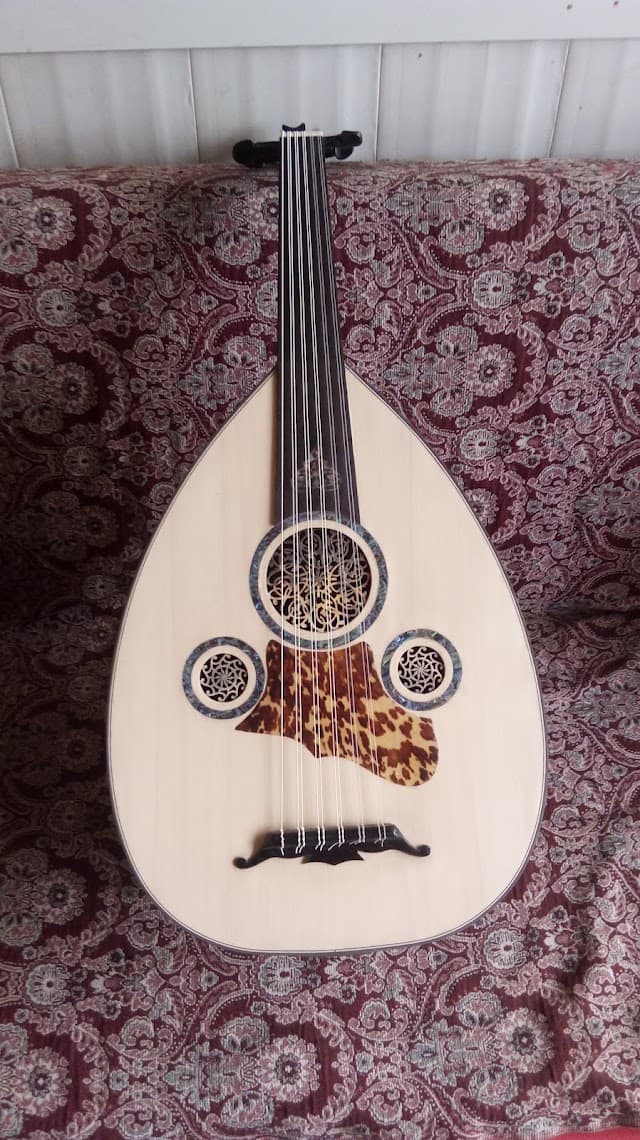 Biçioğlu Müzik Aletleri