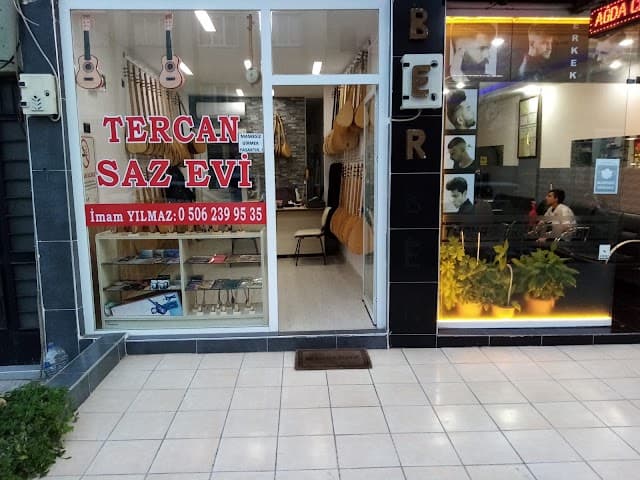 Tercan Saz Evi