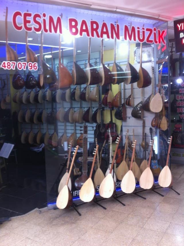 Cesim Baran Saz Evi