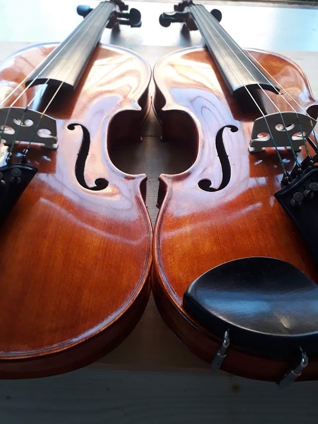 Kemancı Müzik
