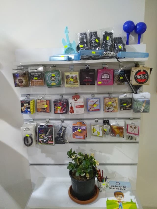 HARMONİ MÜZİK ve SANAT MERKEZİ