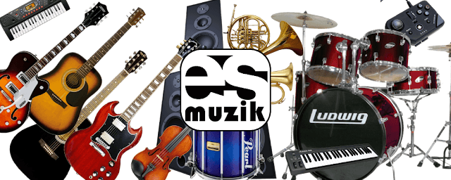 Es Müzik