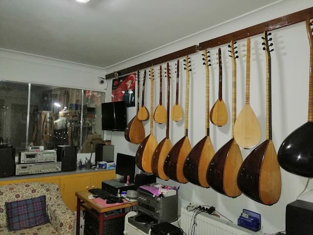 Özcanlar saz evi
