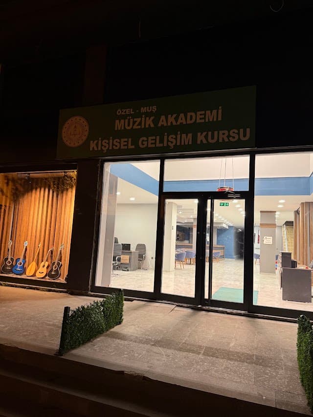 Muş Müzik akademisi Ve Sanat Okulu ( Müzik, Resim, Dans, Cimnastik Ve Yabancı Dil )