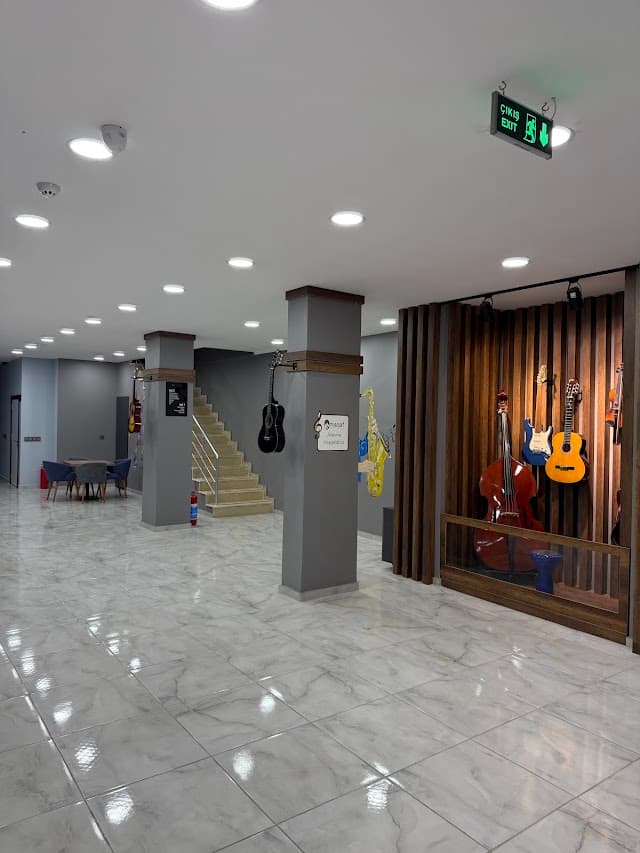 Muş Müzik akademisi Ve Sanat Okulu ( Müzik, Resim, Dans, Cimnastik Ve Yabancı Dil )