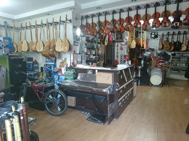 Arya Müzik Akademi
