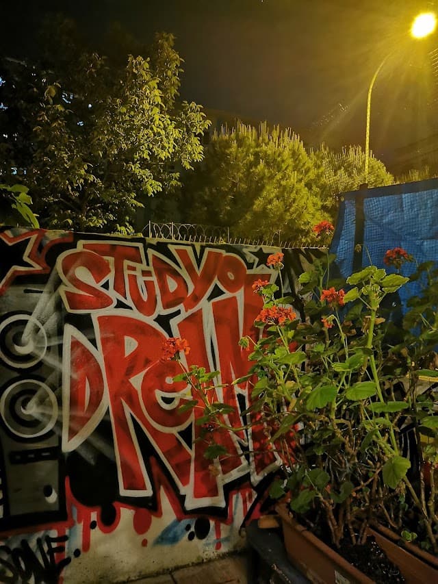 Stüdyo Dreams