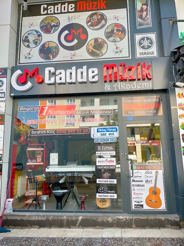 CADDE MÜZİK STORE & AKADEMİ