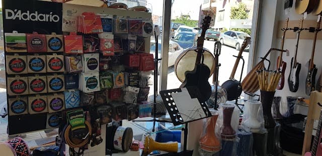 Bartın Sezgin Müzik Evi
