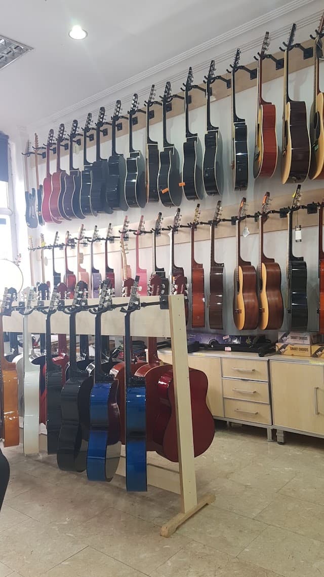 Bartın Sezgin Müzik Evi