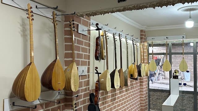 melodica müzik evi