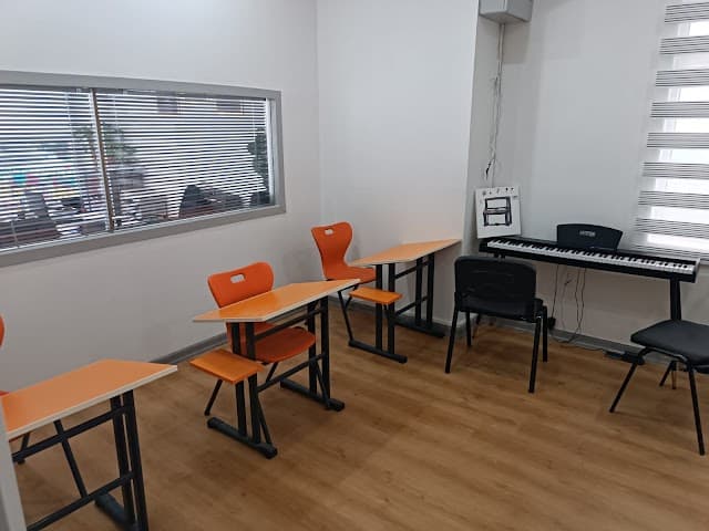 ÖZEL DİNÇ SANAT AKADEMİ MÜZİK KURSU
