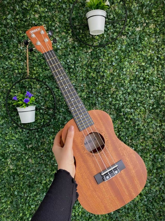 Balım Müzik Safranbolu