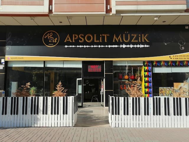 APSOLİT MÜZİK KURSU & Keman Kursu & Gitar Kursu