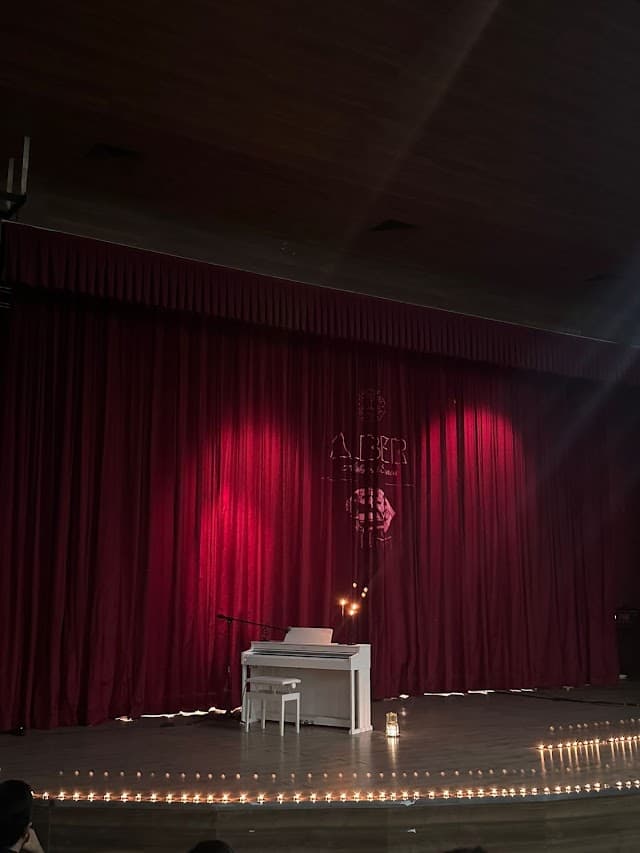 MEB Özel Alber Akademi Müzik Okulu