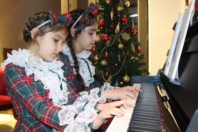 MEB Özel Alber Akademi Müzik Okulu