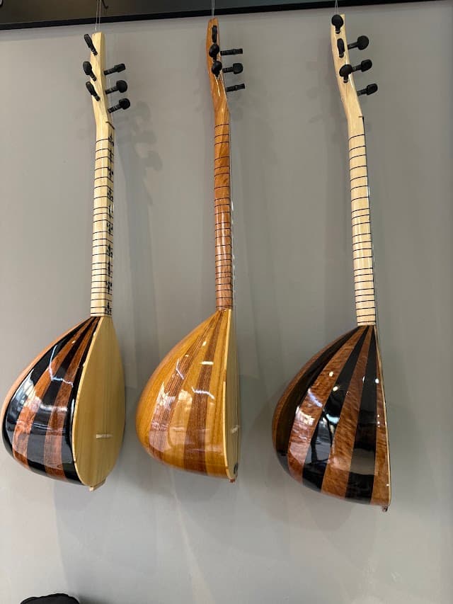 Can Ediz Sanat ve Müzik Akademisi