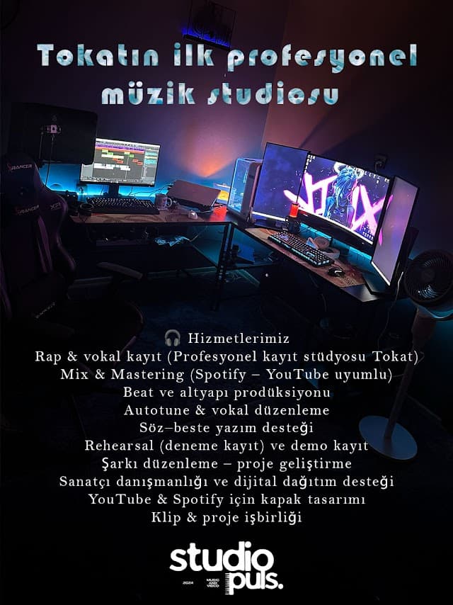 Puls. Müzik Studio