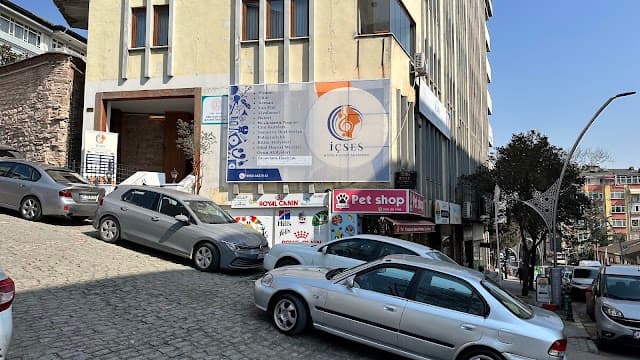 Özel İçses Müzik ve Sanat Akademisi Kursu