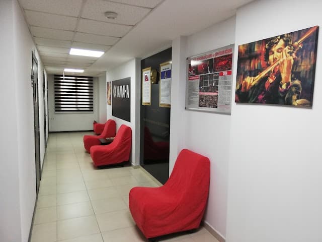 Çukurova Müzik Akademi