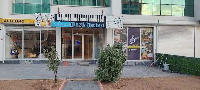Allegro Müzik ve Sanat Akademisi