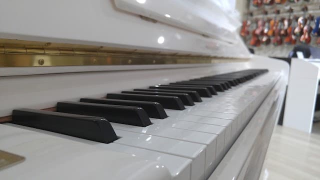 Evrensel Müzik ve Sanat Merkezi