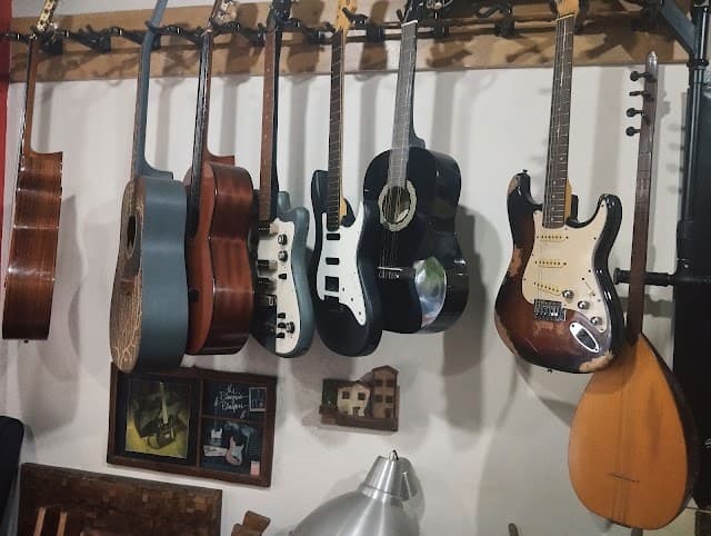 Gurmusic mersin