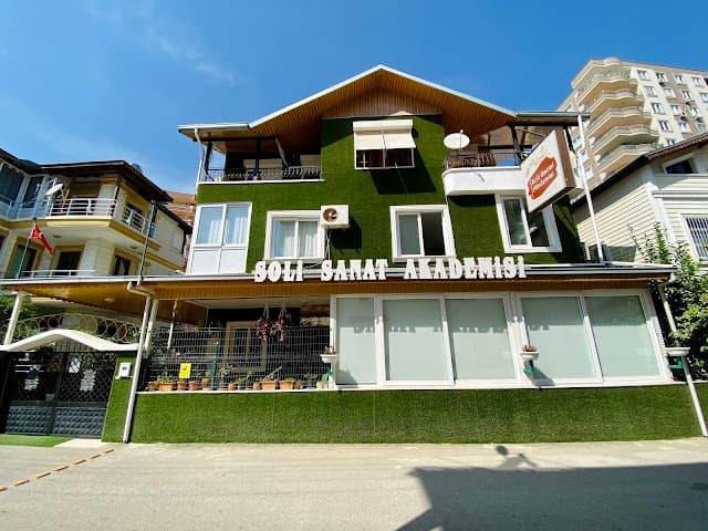 Soli Sanat Akademisi