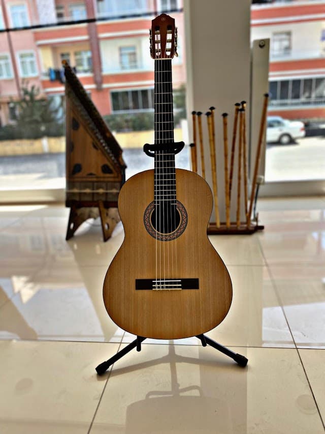 Fadiyez Müzik Evi