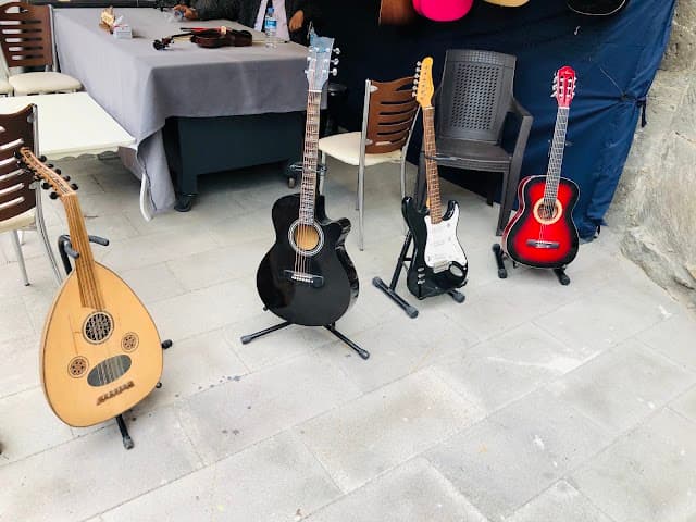 Müzikal Sanat Akademisi