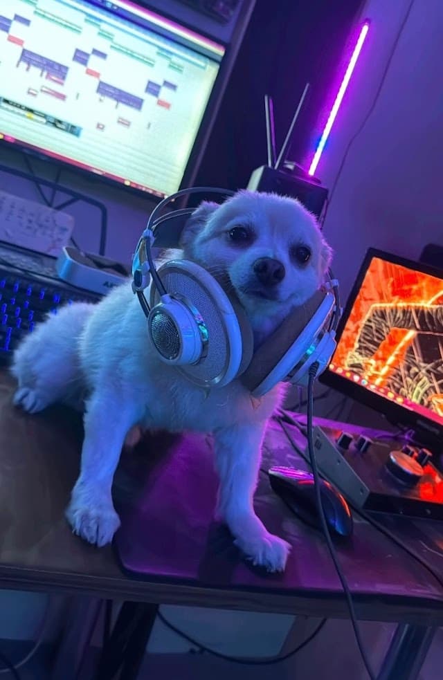 Yankı Müzik Stüdyosu