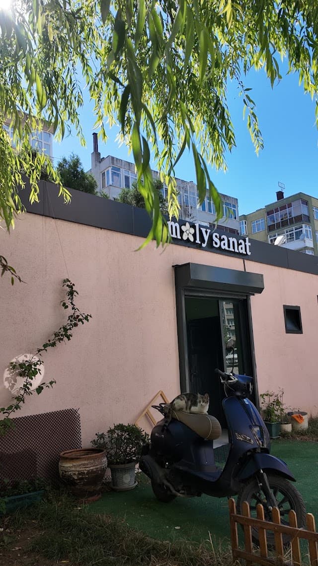 Moly Sanat - Bakırköy Müzik Okulu