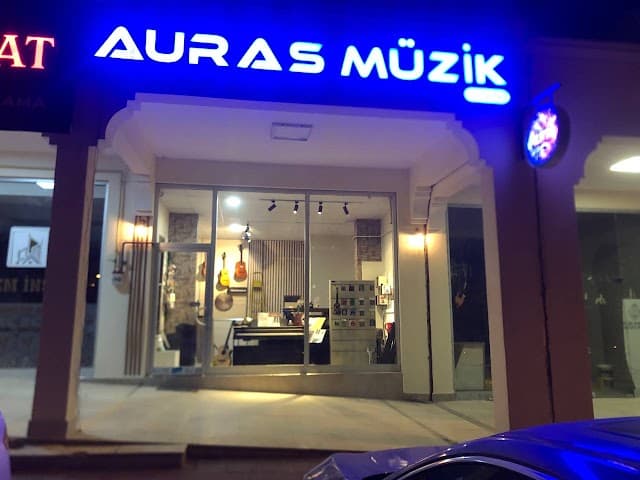 Auras Sanat Akademisi