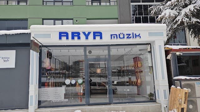 Arya Music & Art