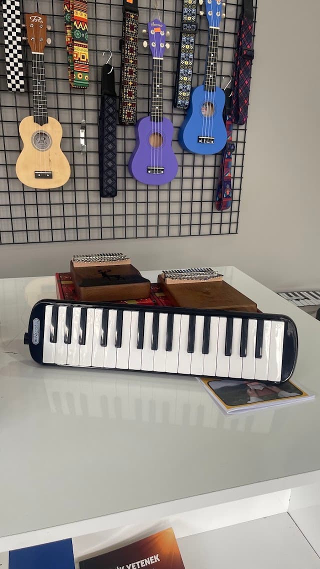 Trio Sanat Akademi / Batman müzik evi
