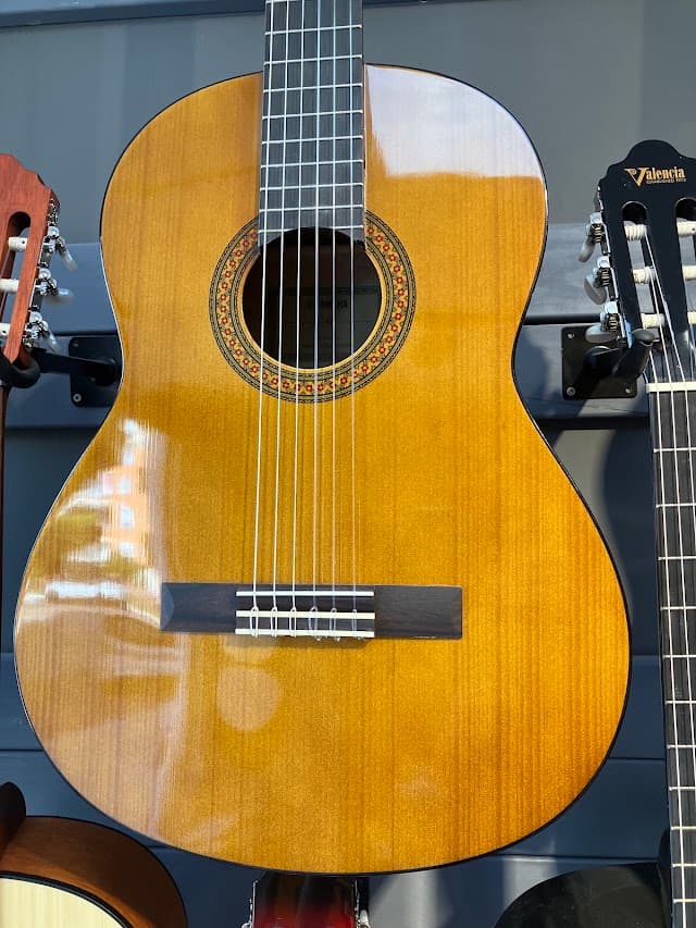 Music house Store Mahmutlar Bağlama Gitar Keman Piyano Şan dersi ve Konservatuvar hazırlık Eğitimi ve Enstrüman satışı