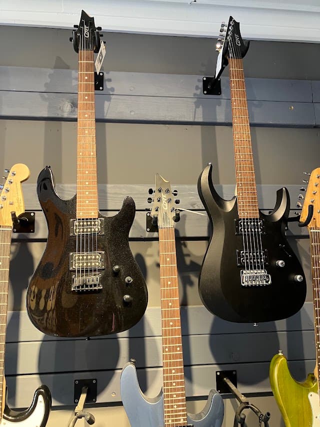 Music house Store Mahmutlar Bağlama Gitar Keman Piyano Şan dersi ve Konservatuvar hazırlık Eğitimi ve Enstrüman satışı