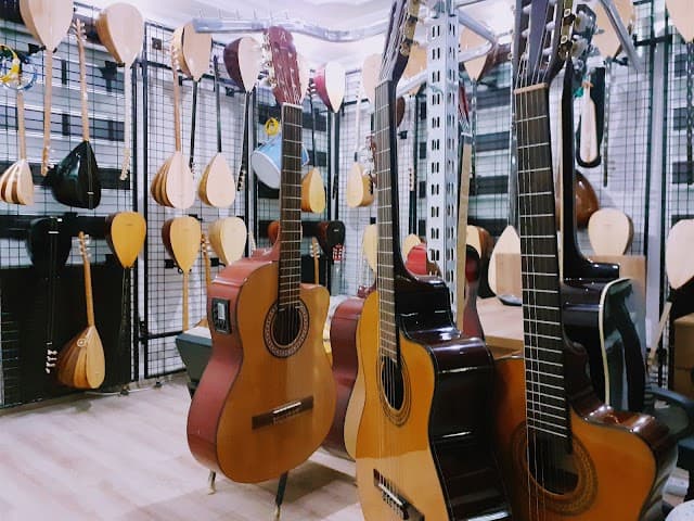 Şahin Müzik Evi