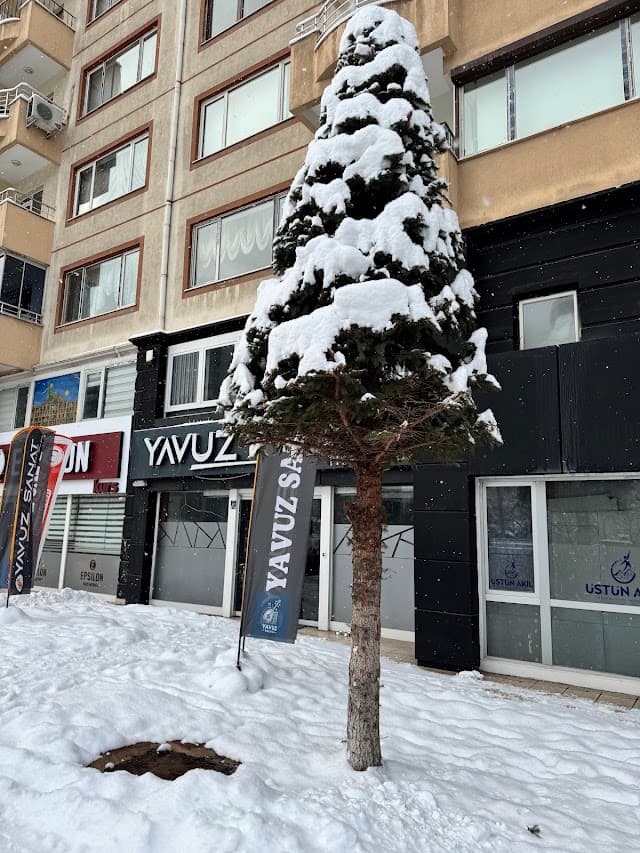 Yavuz Müzik Ve Resim Kursu